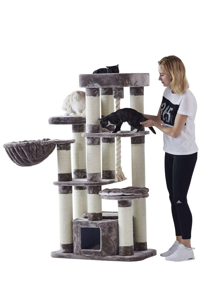 Nobby Kratzbaum FREDO